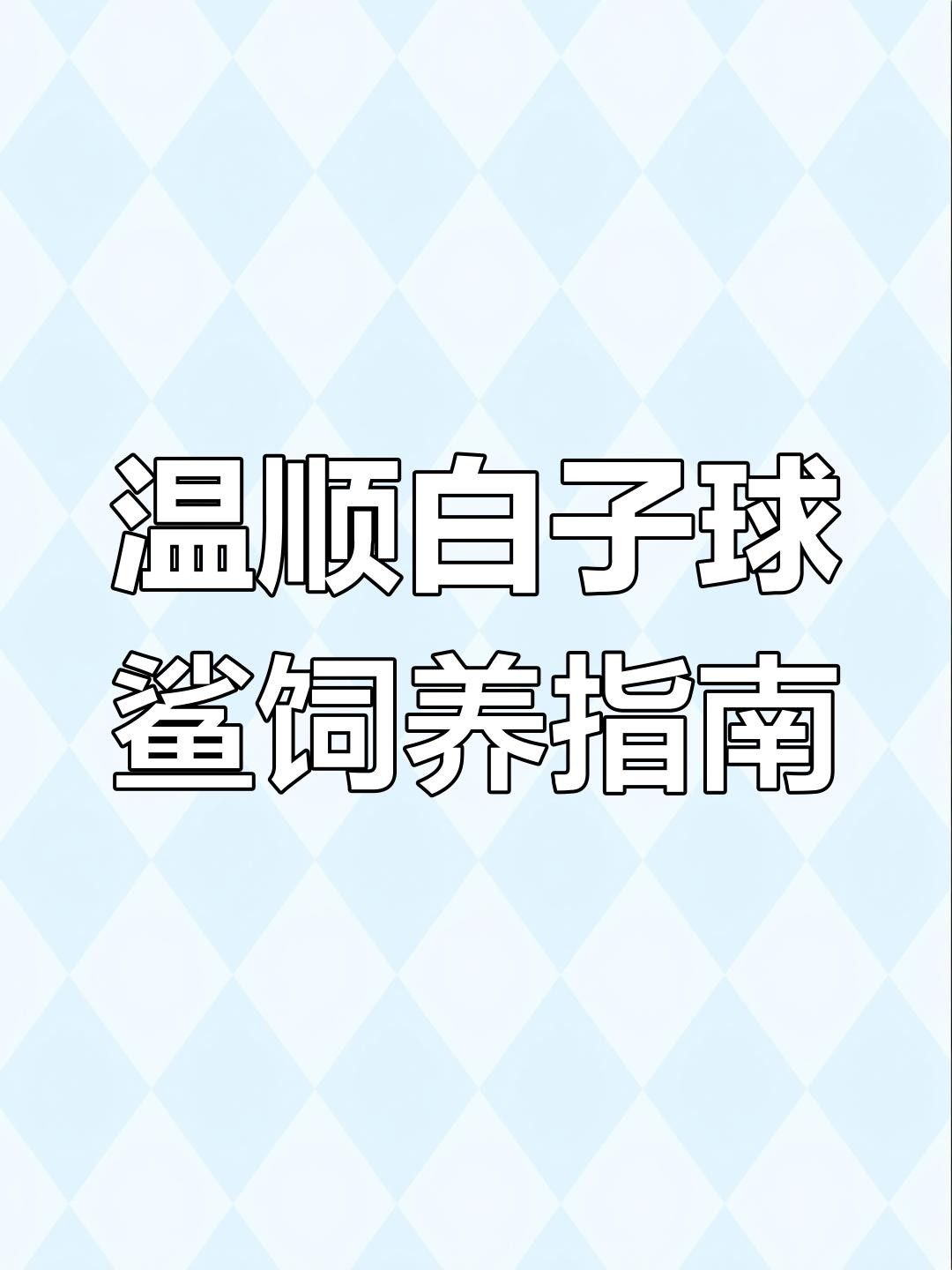 白子球鯊魚開口難（白子球鯊魚不開口的原因及解決方法） 白子球鯊魚開口難（白子球鯊魚不開口的原因及解決方法） 觀賞魚百科 第1張