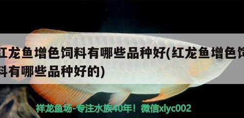 紅龍魚增色飼料有哪些品種好(紅龍魚增色飼料有哪些品種好的)（紅龍魚增色飼料品種好和紅龍魚增色飼料有哪些品種好） 紅龍魚增色飼料有哪些品種好(紅龍魚增色飼料有哪些品種好的)（紅龍魚增色飼料品種好和紅龍魚增色飼料有哪些品種好） 觀賞魚百科