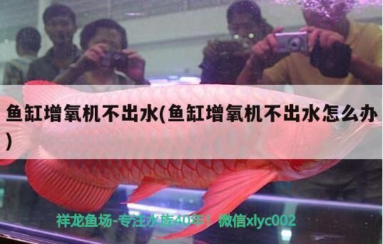 魚缸增氧機不出水(魚缸增氧機不出水怎么辦)（魚缸增氧機不出水怎么不冒泡魚缸增氧機不出水怎么辦）
