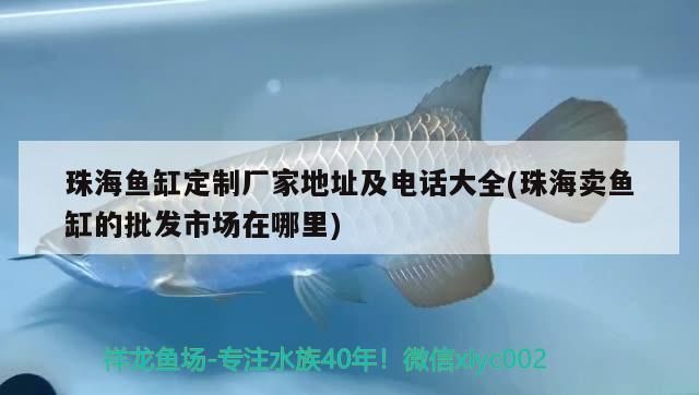 珠海魚缸定制廠家地址及電話大全(珠海賣魚缸的批發市場在哪里)（珠海魚缸定制廠家地址及電話大全）