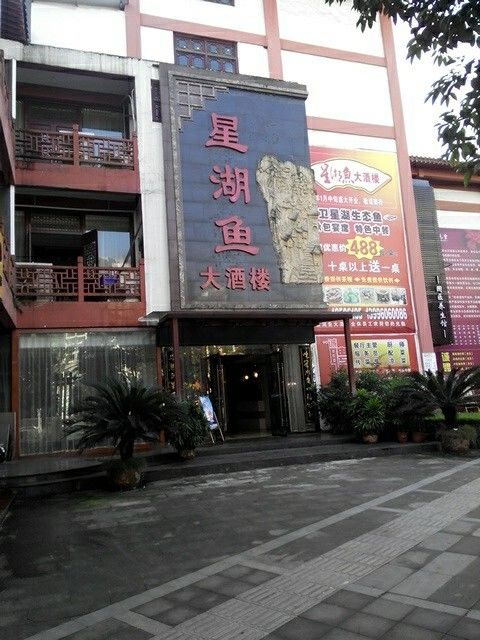 永川龍魚（重慶市永川區龍魚的價格是多少？） 永川龍魚（重慶市永川區龍魚的價格是多少？） 觀賞魚百科 第1張