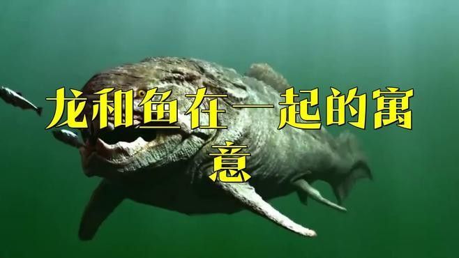 古縣龍魚（“古縣龍魚”的寓意） 古縣龍魚（“古縣龍魚”的寓意） 觀賞魚百科 第1張