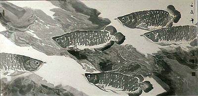 古縣龍魚（“古縣龍魚”的寓意） 古縣龍魚（“古縣龍魚”的寓意） 觀賞魚百科 第3張