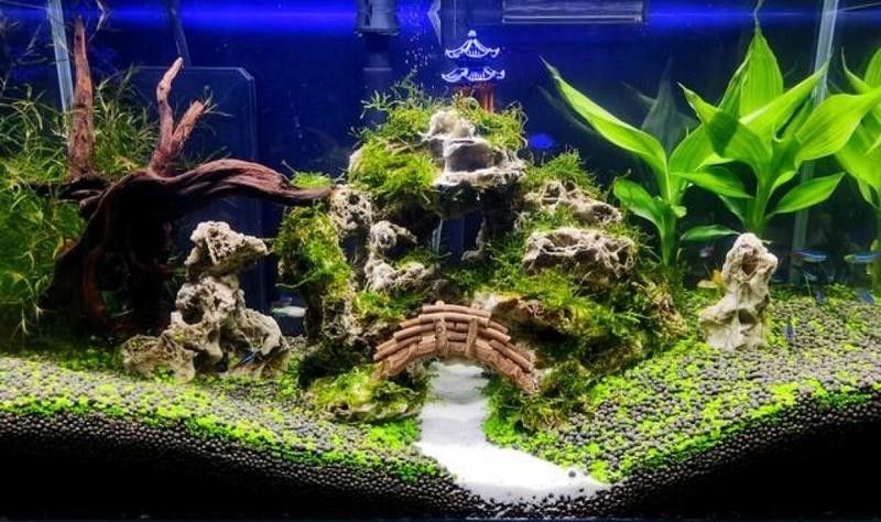 魚缸設計圖片大全（魚缸設計圖片大全根據您對魚缸設計圖片邏輯清晰的魚缸設計）
