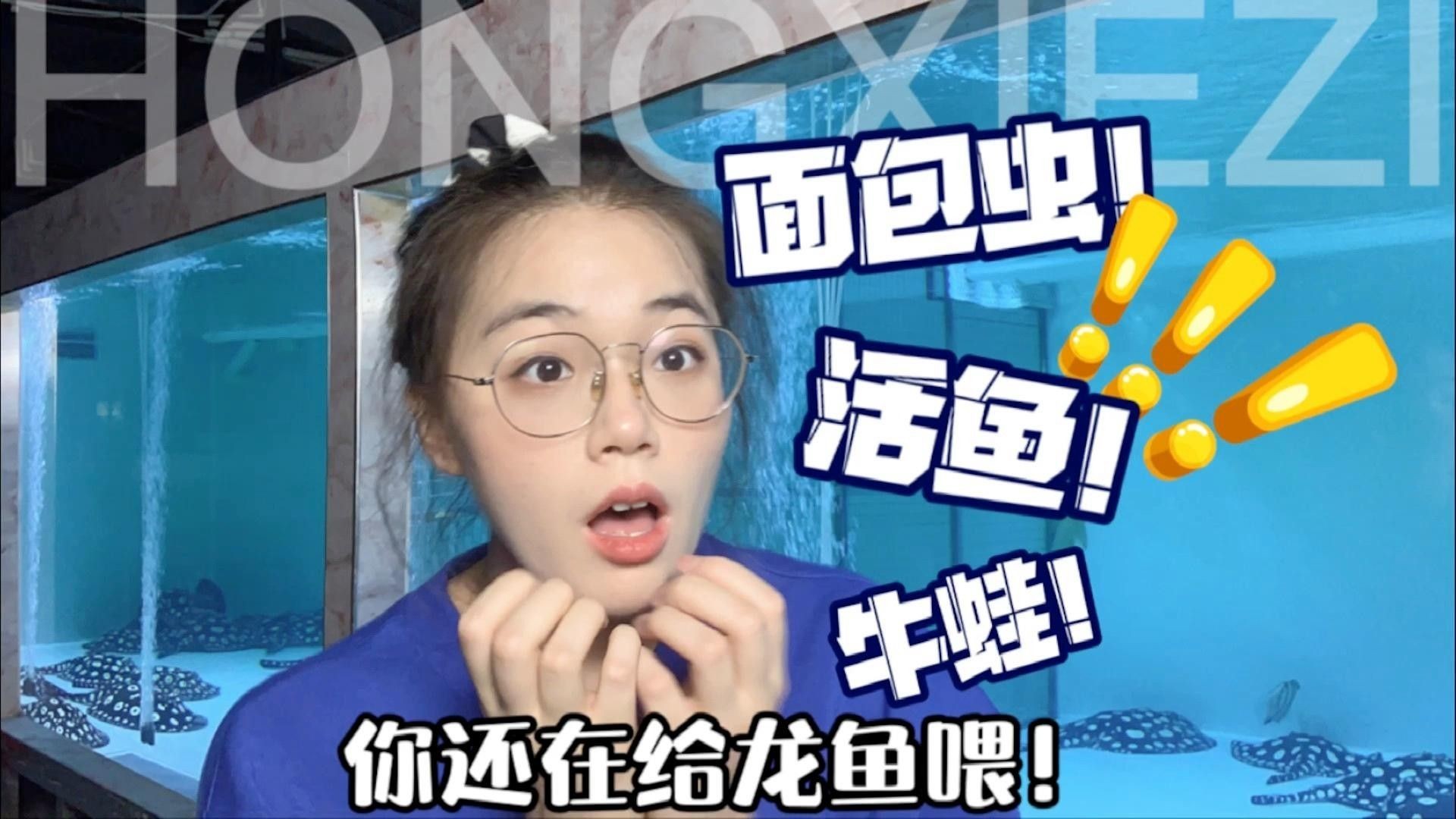 面包蟲喂龍魚好不好（面包蟲喂龍魚多久一次合適）