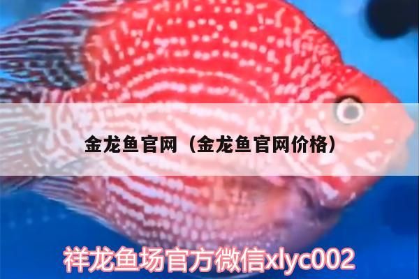 金龍魚官網（金龍魚官網價格）（金龍魚官網價格、金龍魚官網價格、金龍魚官網的信息別忘了查找）