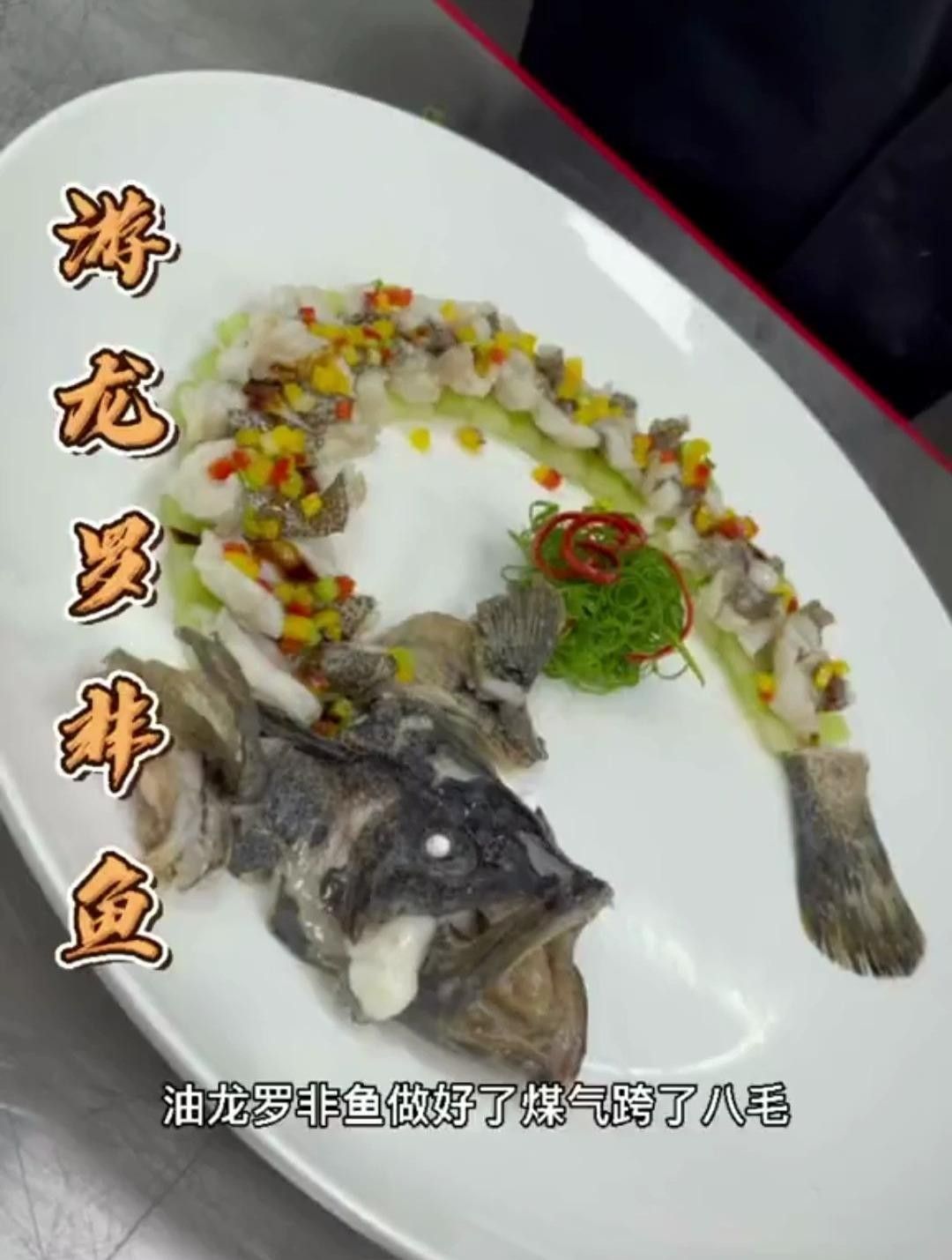 游龍是什么魚（游龍是什么魚“游龍”是什么魚“游龍”是什么魚）