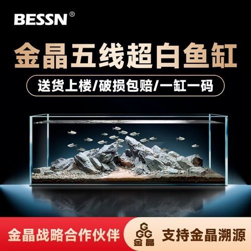 魚缸排名前十名（2025年水族箱行業權威榜單及市場表現及市場表現） 魚缸排名前十名（2025年水族箱行業權威榜單及市場表現及市場表現） 觀賞魚百科 第2張