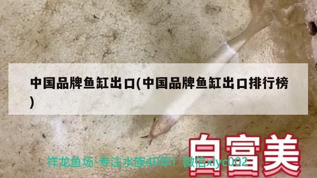 中國(guó)品牌魚缸出口(中國(guó)品牌魚缸出口排行榜)（2020年度生態(tài)魚缸行業(yè)十大品牌榜單：中國(guó)品牌魚缸出口排行榜） 中國(guó)品牌魚缸出口(中國(guó)品牌魚缸出口排行榜)（2020年度生態(tài)魚缸行業(yè)十大品牌榜單：中國(guó)品牌魚缸出口排行榜） 觀賞魚百科
