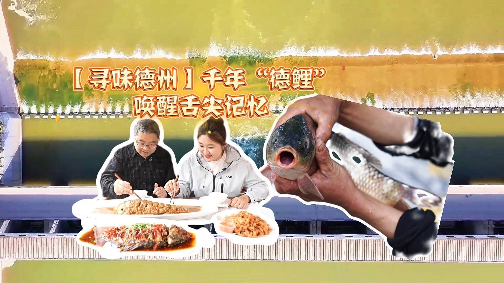 山東德州特有的魚（山東德州有哪些特色魚類？） 山東德州特有的魚（山東德州有哪些特色魚類？） 觀賞魚百科 第2張