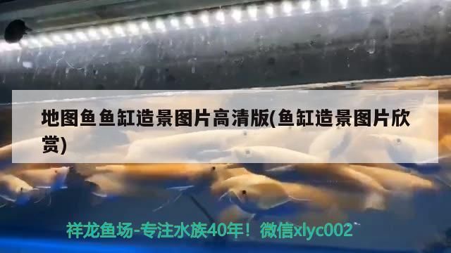 飼料 地圖魚魚缸造景圖片高清版(魚缸造景圖片欣賞)(地圖魚缸如何造景) 觀賞魚百科 地圖魚魚缸造景圖片高清版(魚缸造景圖片欣賞)(地圖魚缸如何造景) 地圖魚魚缸造景圖片高清版(魚缸造景圖片欣賞)(地圖魚缸如何造景) 觀賞魚百科