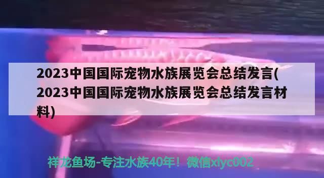 2023中國國際寵物水族展覽會總結發言(2023中國國際寵物水族展覽會總結發言材料)（2019第二十三屆中國國際寵物水族展覽會總結發言）