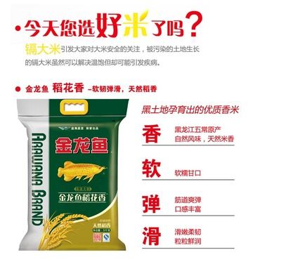 67公分的小不點（67公分的小不點，探討了“67公分的小不點”這一概念） 67公分的小不點（67公分的小不點，探討了“67公分的小不點”這一概念） 觀賞魚百科