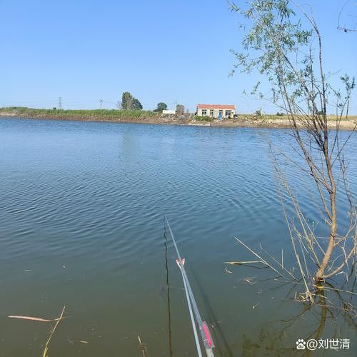 泊頭釣魚的地方（河北泊頭市適合垂釣的地方，適合垂釣的好去處，）