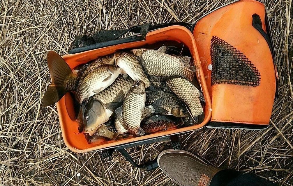 泊頭釣魚的地方（河北泊頭市適合垂釣的地方，適合垂釣的好去處，）