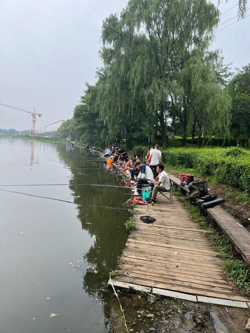 泊頭釣魚的地方（河北泊頭市適合垂釣的地方，適合垂釣的好去處，）