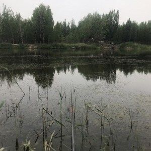 泊頭釣魚的地方（河北泊頭市適合垂釣的地方，適合垂釣的好去處，）