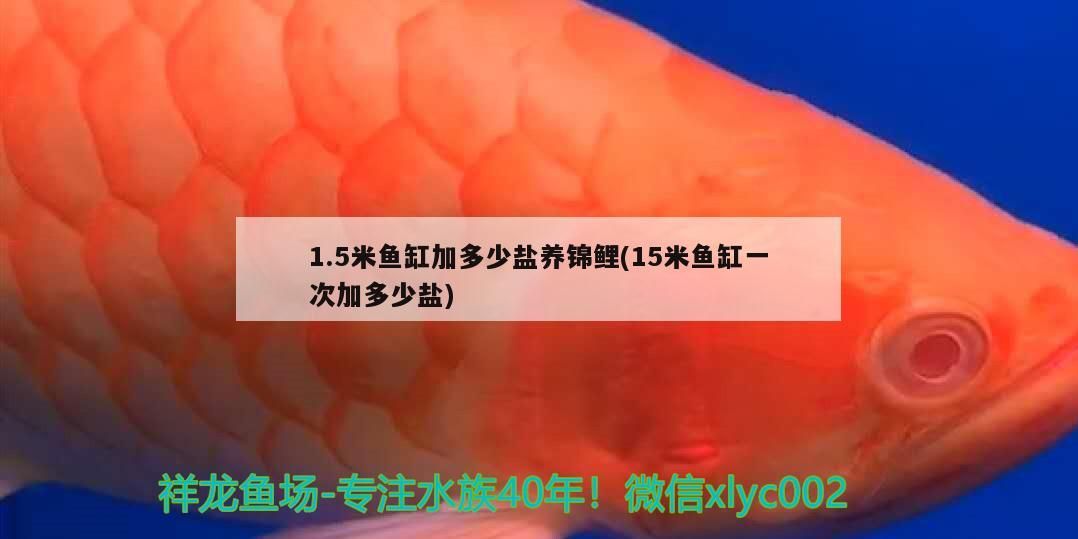 1.5米魚缸加多少鹽養錦鯉(15米魚缸一次加多少鹽)（1.5米米魚缸加多少鹽養錦鯉）