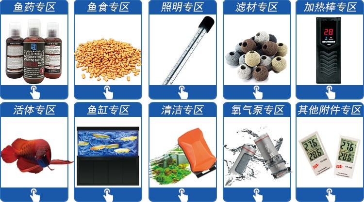 龍魚缸加熱棒自動恒溫防爆加熱器水族箱ptc加溫棒500W加溫器1000W（水族箱加熱棒） 龍魚缸加熱棒自動恒溫防爆加熱器水族箱ptc加溫棒500W加溫器1000W（水族箱加熱棒） 觀賞魚百科 第11張