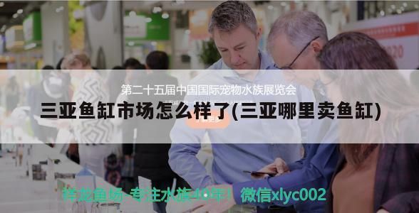 三亞魚缸市場怎么樣了(三亞哪里賣魚缸)（三亞魚缸市場怎么樣） 三亞魚缸市場怎么樣了(三亞哪里賣魚缸)（三亞魚缸市場怎么樣） 觀賞魚百科