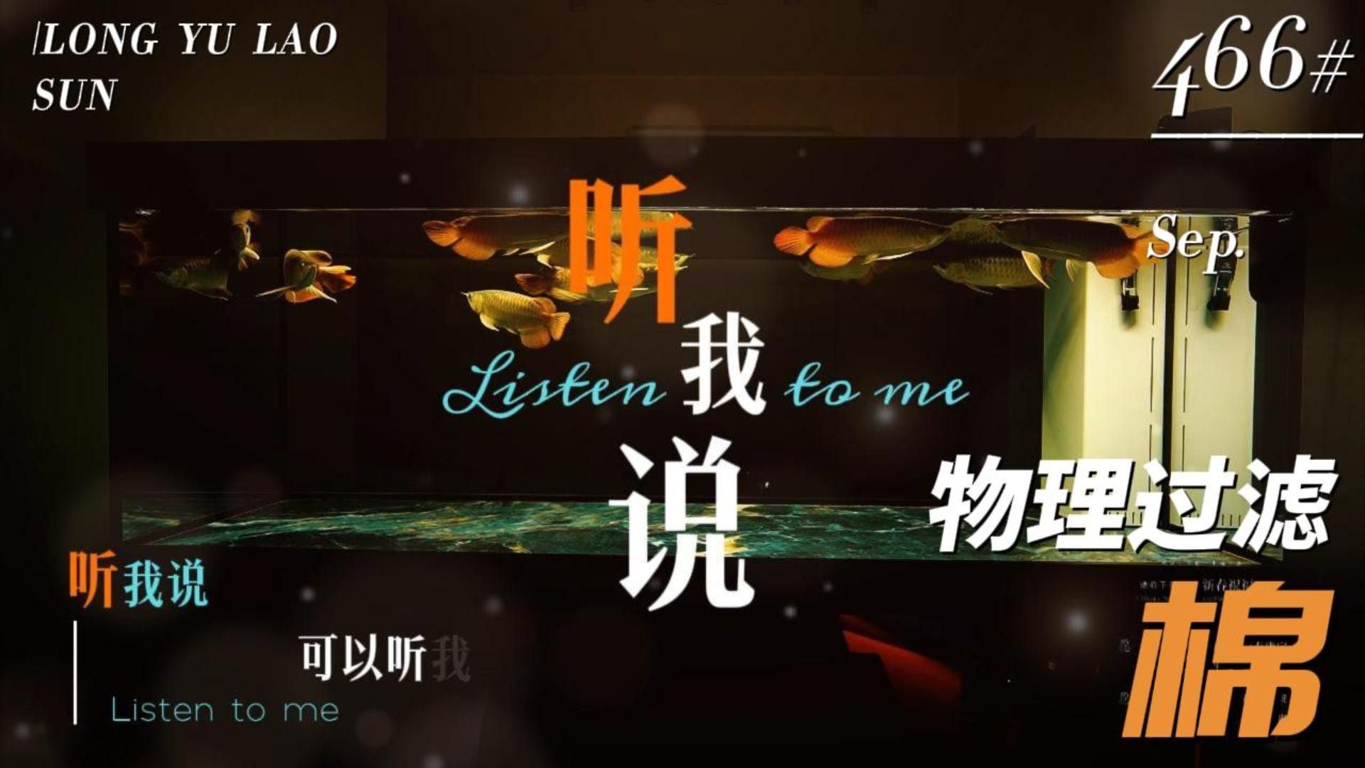 老孫介紹養(yǎng)龍魚全部視頻（龍魚定時趴缸怎么回事）