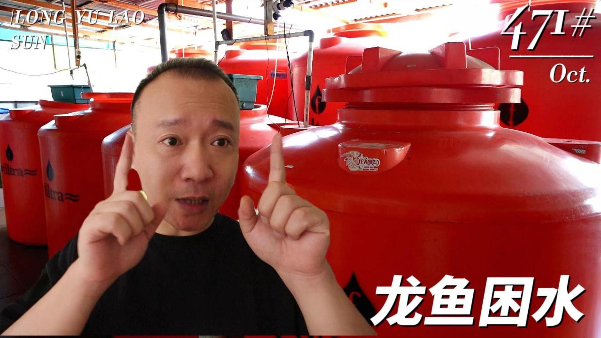 老孫介紹養(yǎng)龍魚全部視頻（龍魚定時趴缸怎么回事）