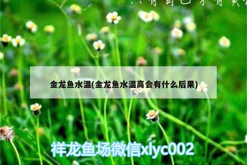 金龍魚水溫(金龍魚水溫高會有什么后果)（關于金龍魚水溫的問題）