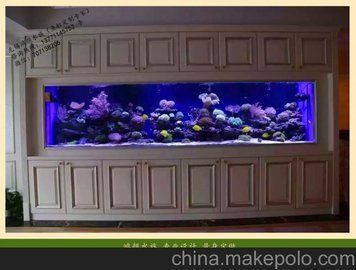 無錫龍魚專賣店（無錫龍魚專賣店在哪里） 無錫龍魚專賣店（無錫龍魚專賣店在哪里） 觀賞魚百科 第2張