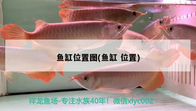魚缸位置圖(魚缸位置)（家中魚缸擺放位置風(fēng)水圖）
