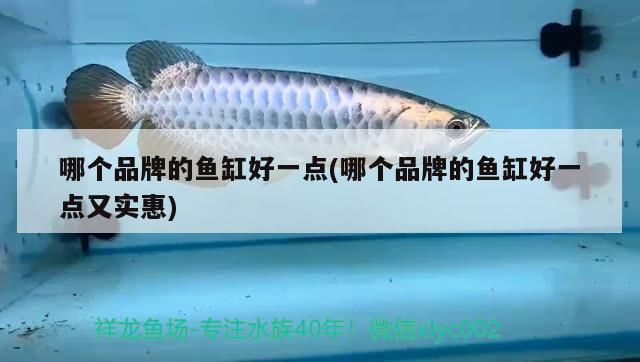 哪個品牌的魚缸好一點(哪個品牌的魚缸好一點又實惠)（哪個品牌的魚缸好）
