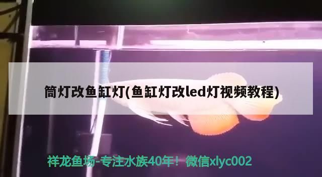 我的虎魚真菌感染了要怎么處理 彩蝶魚缸干濕分離改造方法(彩蝶魚缸干濕分離擺放)(彩蝶魚缸干濕分離改魚缸燈改led燈視頻教程一覽) 觀賞魚百科 彩蝶魚缸干濕分離改造方法(彩蝶魚缸干濕分離擺放)(彩蝶魚缸干濕分離改魚缸燈改led燈視頻教程一覽) 彩蝶魚缸干濕分離改造方法(彩蝶魚缸干濕分離擺放)(彩蝶魚缸干濕分離改魚缸燈改led燈視頻教程一覽) 觀賞魚百科