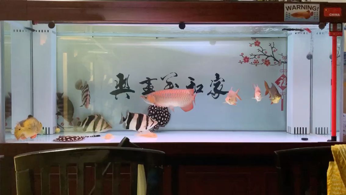 日常打卡上視頻（日常打卡上視頻反映了現代社會文化意義及其對個人和社會影響）