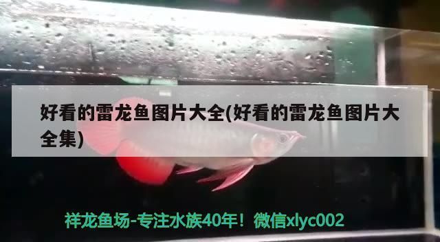 日常打卡上視頻（日常打卡上視頻反映了現(xiàn)代社會文化意義及其對個人和社會影響）