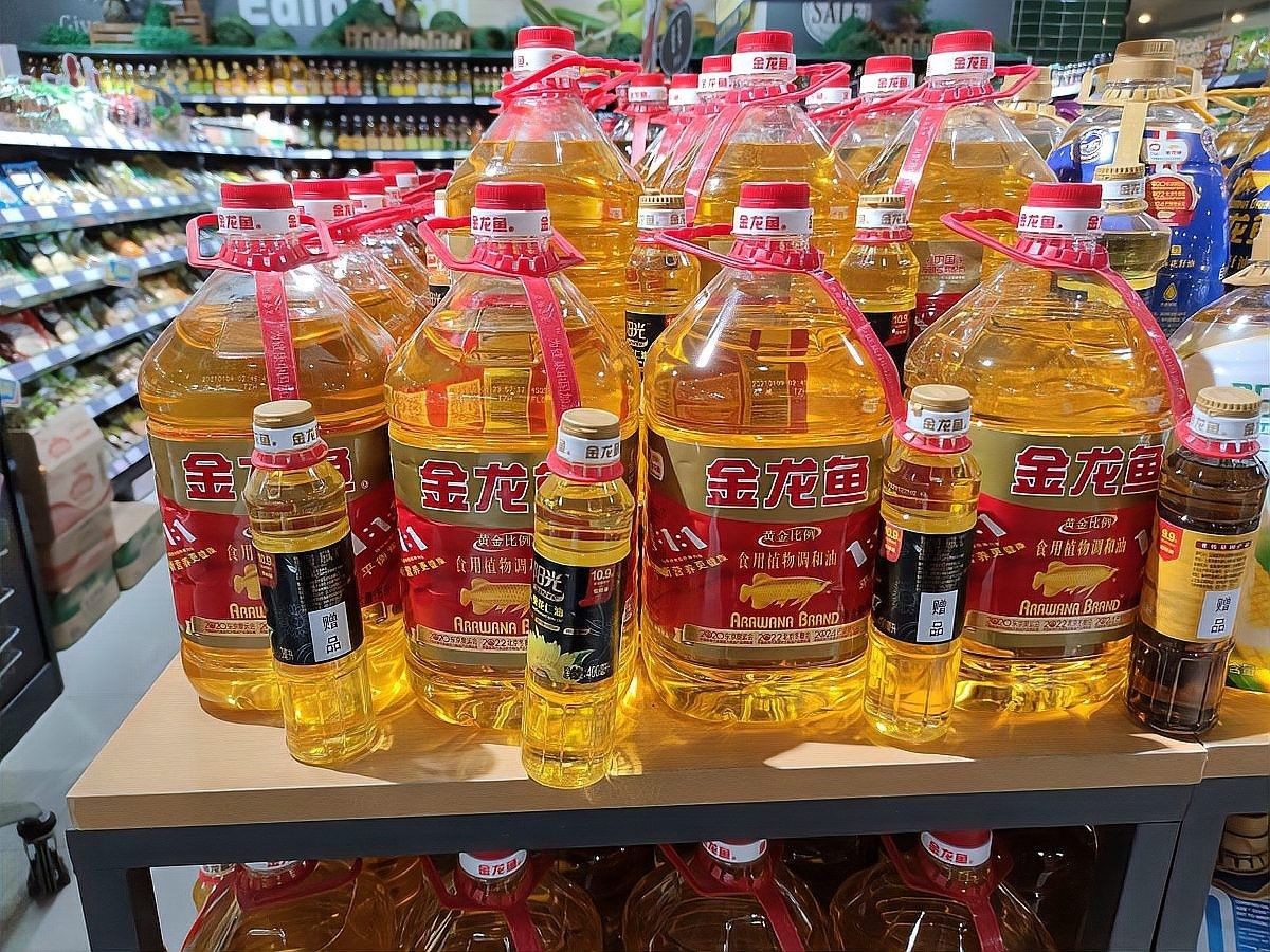 圖騰金龍魚質量很差嗎（圖騰金龍魚的質量如何？） 圖騰金龍魚質量很差嗎（圖騰金龍魚的質量如何？） 觀賞魚百科 第11張