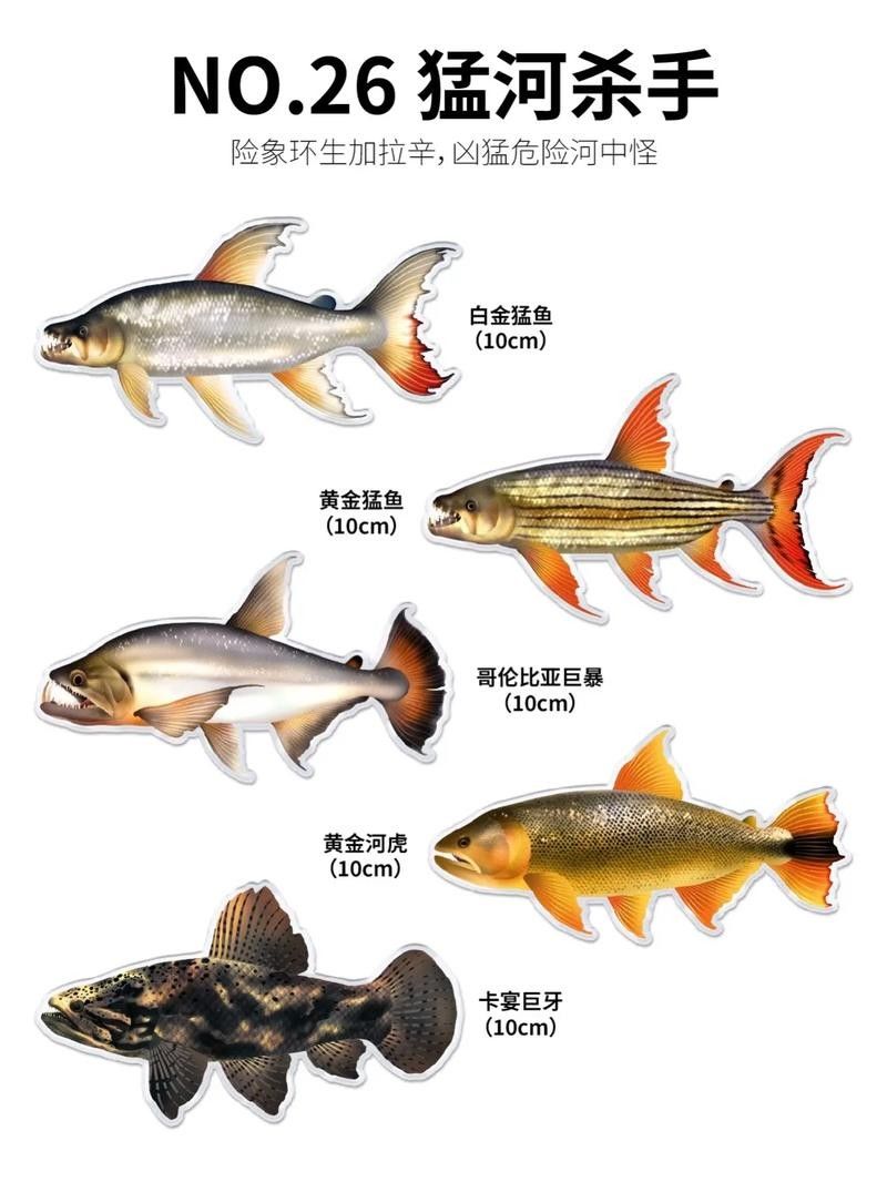 建議窮人養的10種猛魚（10種適合窮人養的八大猛魚，便宜又好養的八大猛魚）
