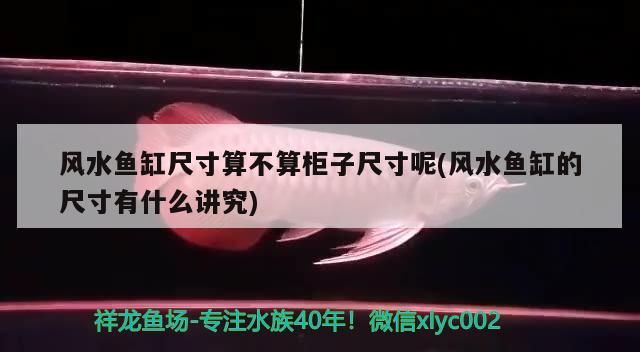 風水魚缸尺寸算不算柜子尺寸呢(風水魚缸的尺寸有什么講究)（風水魚缸尺寸算不算柜子尺寸）