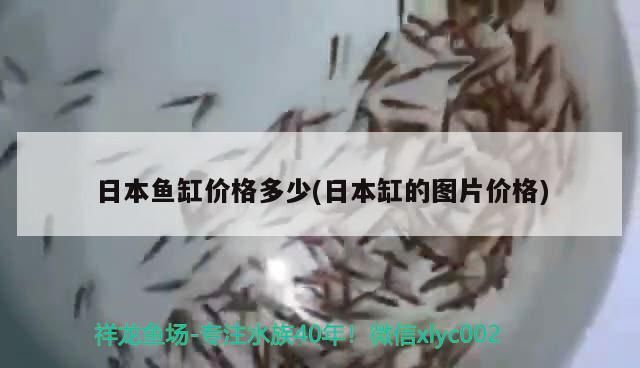 飼料 日本魚缸價格多少(日本缸的圖片價格)(日本魚缸價格多少) 觀賞魚百科 日本魚缸價格多少(日本缸的圖片價格)(日本魚缸價格多少) 日本魚缸價格多少(日本缸的圖片價格)(日本魚缸價格多少) 觀賞魚百科