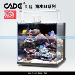 信陽觀賞魚批發(fā)市場(chǎng)在哪兒有（信陽觀賞魚批發(fā)市場(chǎng)在哪兒有買）（信陽觀賞魚批發(fā)市場(chǎng)匯集了談村張家口市場(chǎng)匯集了談村）