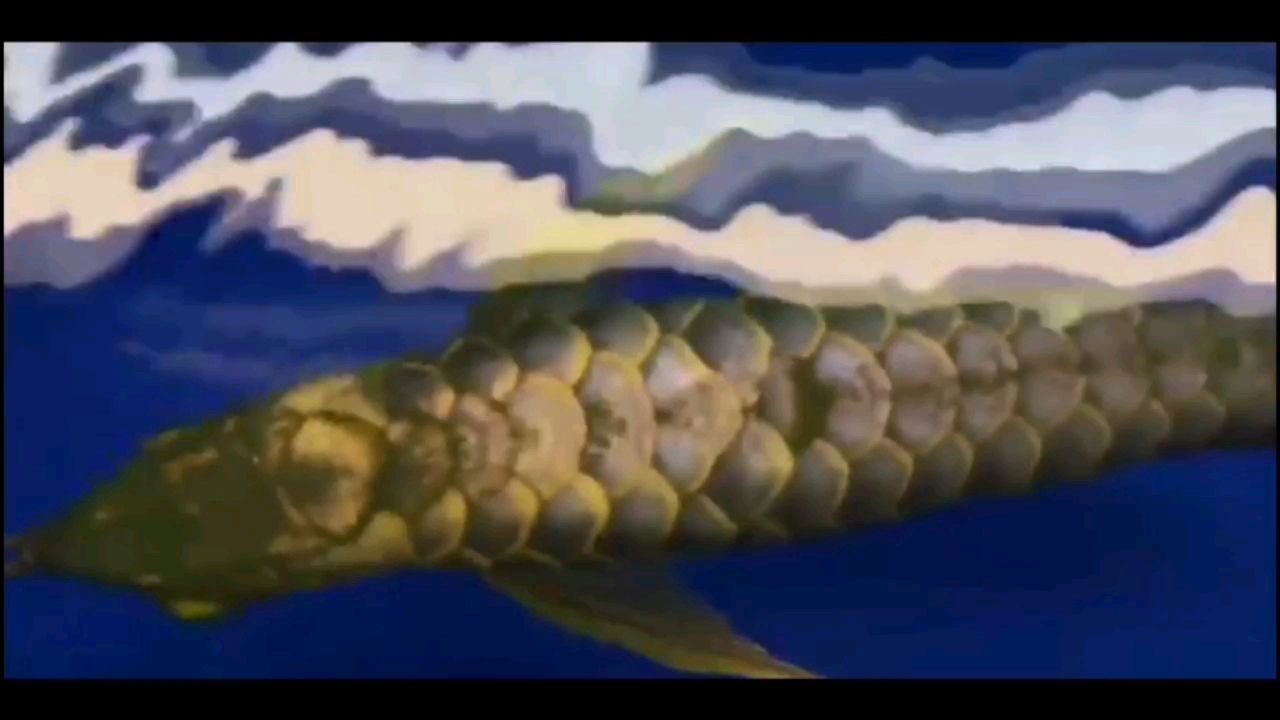 寬版七大鰭金背古典（“寬版七大鰭金背古典”皇藏峪魚友：漂亮,養(yǎng)兩年的古典了）