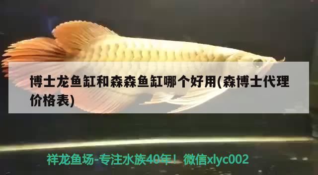 博士龍魚缸和森森魚缸哪個好用(森博士代理價格表)（博士龍魚缸和森森魚缸哪個好用） 博士龍魚缸和森森魚缸哪個好用(森博士代理價格表)（博士龍魚缸和森森魚缸哪個好用） 觀賞魚百科