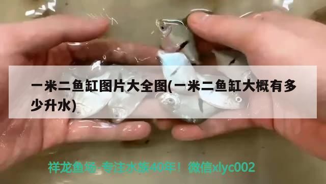 一米二魚缸圖片大全圖(一米二魚缸大概有多少升水)（一米二魚缸圖片大全圖） 一米二魚缸圖片大全圖(一米二魚缸大概有多少升水)（一米二魚缸圖片大全圖） 觀賞魚百科 第1張