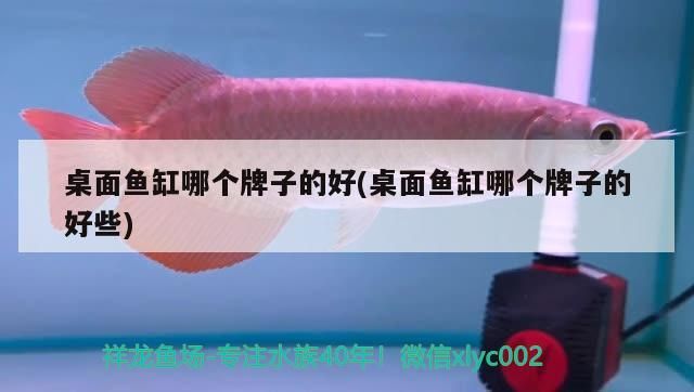桌面魚缸哪個牌子的好(桌面魚缸哪個牌子的好些)（桌面魚缸哪個牌子的好） 桌面魚缸哪個牌子的好(桌面魚缸哪個牌子的好些)（桌面魚缸哪個牌子的好） 觀賞魚百科