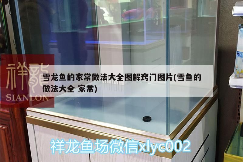 雪龍魚(yú)的家常做法大全圖解竅門(mén)圖片(雪魚(yú)的做法大全家常)