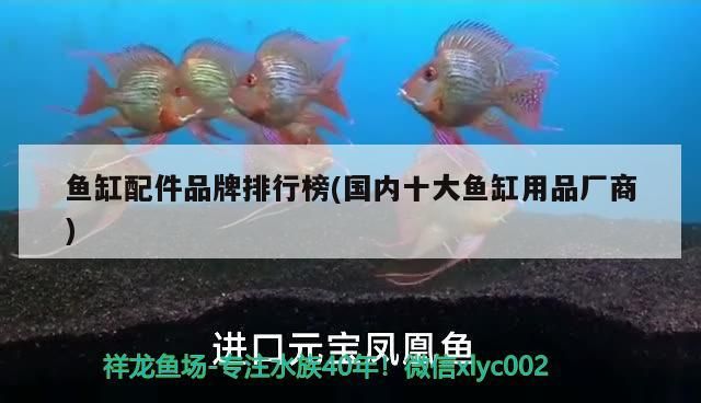 彩蝶魚缸cgb論壇最新消息(彩蝶魚缸ka系列)