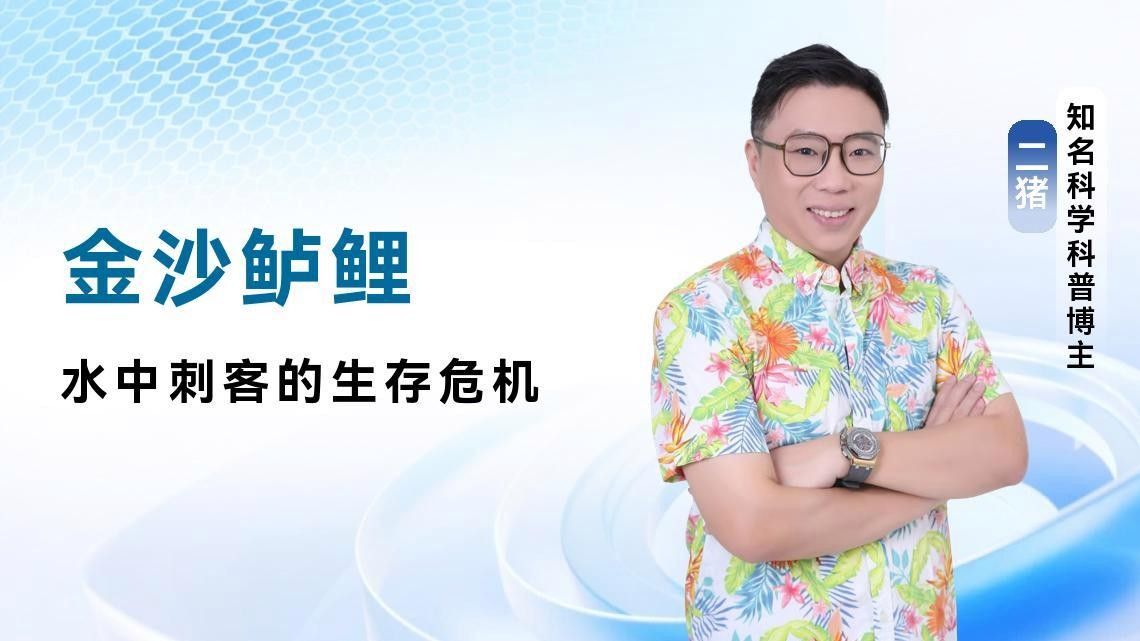 攀枝花金沙江有什么魚(yú) 攀枝花金沙江有什么魚(yú) 觀賞魚(yú)百科 第1張