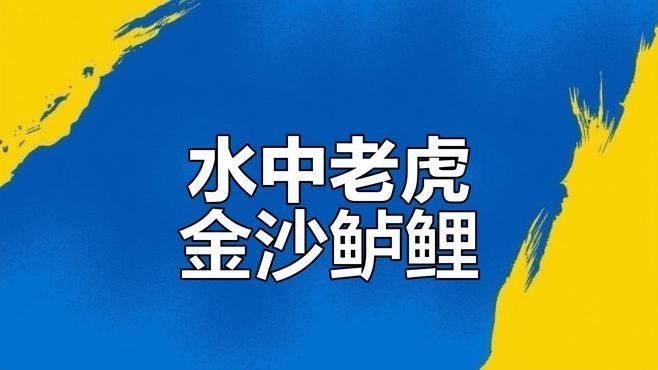 攀枝花金沙江有什么魚(yú) 攀枝花金沙江有什么魚(yú) 觀賞魚(yú)百科 第2張
