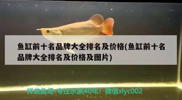 魚缸前十名品牌大全排名及價(jià)格(魚缸前十名品牌大全排名及價(jià)格及圖片) 魚缸前十名品牌大全排名及價(jià)格(魚缸前十名品牌大全排名及價(jià)格及圖片) 觀賞魚百科
