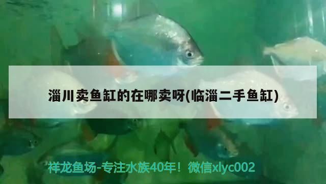 淄川賣魚缸的在哪賣呀(臨淄二手魚缸) 淄川賣魚缸的在哪賣呀(臨淄二手魚缸) 觀賞魚百科