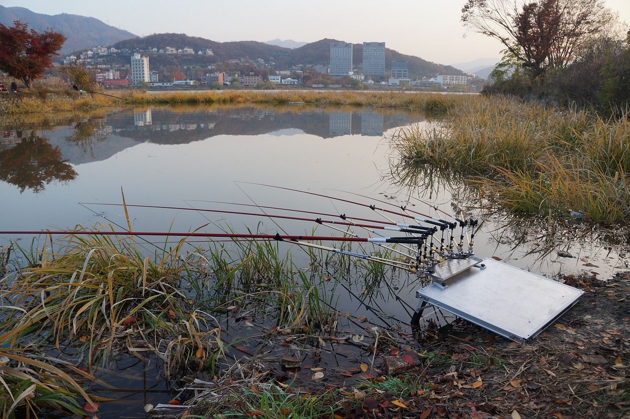 冬天龍魚溫度多少合適釣魚（冬天龍魚溫度多少合適釣魚呢）