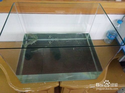 龍魚死前有什么征兆嗎圖片（龍魚死前有什么征兆嗎圖片大全）